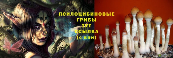 гашик Белоозёрский